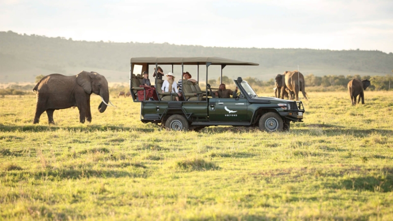 Masai-Mara-Safari-Kenia-Elefante